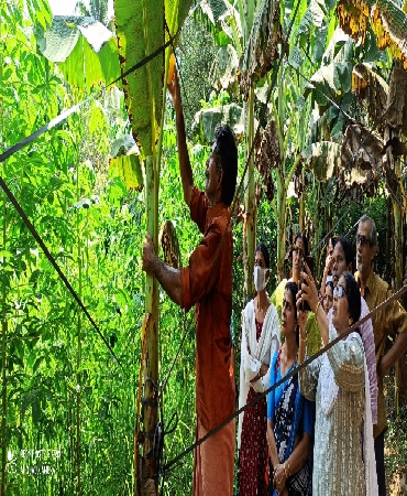 Alangad Farmer Producer Company Limited